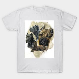 Cane Corso Medley T-Shirt